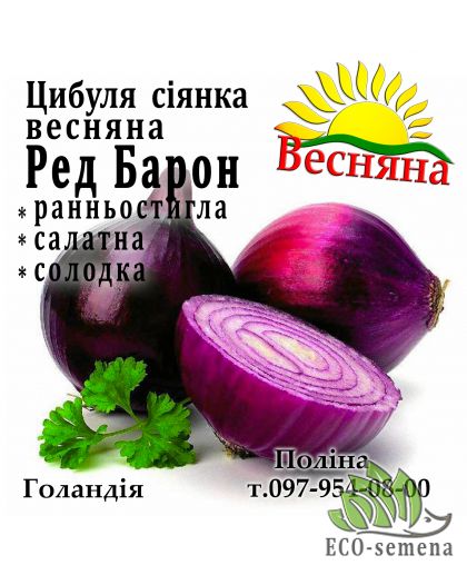 Лук севок весенний Ред Барон (Red Baron), Голландия 1 кг 