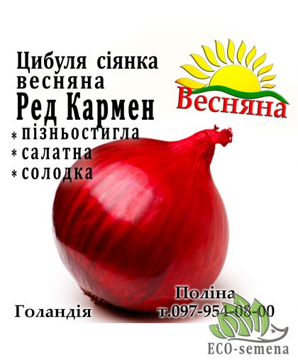Лук севок весенний Ред Кармен (Red Karmen) Голландия 1 кг 