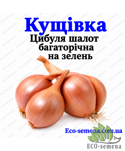 Лук-севок Кущевка круглая (на зелень) Украина 1 кг 