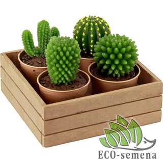 Для КОМНАТНЫХ