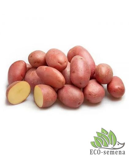 Семенной картофель Алюэтт (1 репродукция) Agrico 2,5 кг/уп