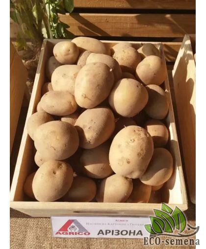 Семенной картофель Аризона (1 репродукция) раннеспелая Agrico 2,5 кг/уп