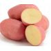 Семенной картофель Белларосса (1 репродукция) раннеспелая Agrico 2,5 кг/уп