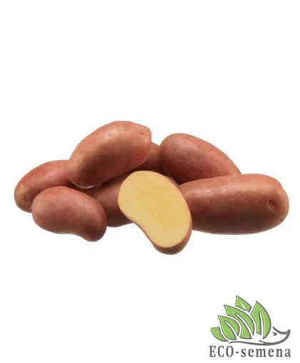 Семенной картофель Эсми (1 репродукция) Agrico 2,5 кг/уп