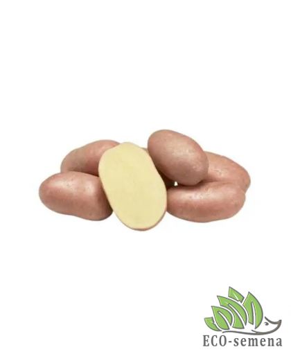 Семенной картофель Коразон (1 репродукция) Agrico 2,5 кг/уп