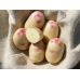 Семенной картофель Пикассо (1 репродукция) среднепоздний Agrico 2,5 кг/уп 