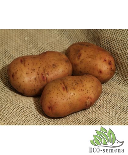 Семенной картофель Тирас (1 репродукция) ИК НААН Украины 2,5 кг/уп