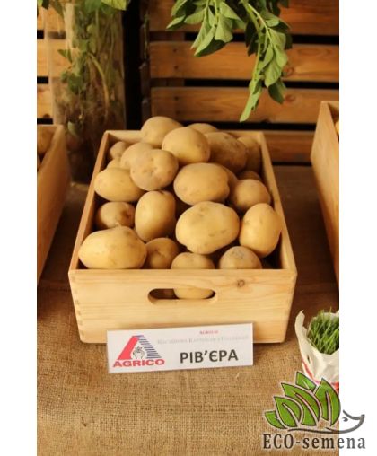 Семенной картофель Ривьера (1 репродукция) раннеспелая Agrico 2,5 кг/уп