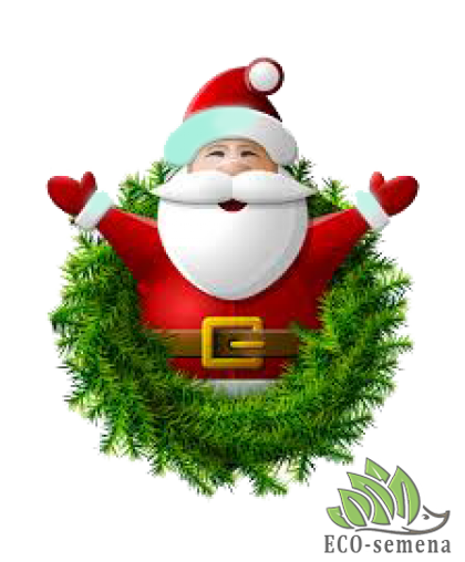 ПОЗДРАВЛЯЕМ С НОВОГОДНИМИ ПРАЗДНИКАМИ !