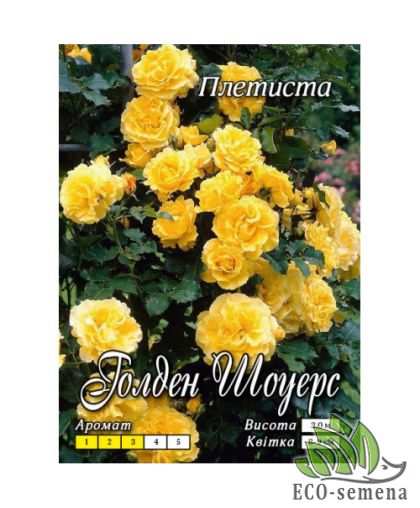 Роза Плетистая Голден Шауэрз (Golden Showers) желтая 3м Роза Плетистая Голден Шауэрз (Golden Showers) желтая 3м