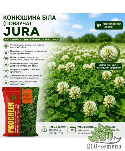 Клевер белый Юра (Jura) Freudenberger 1 кг