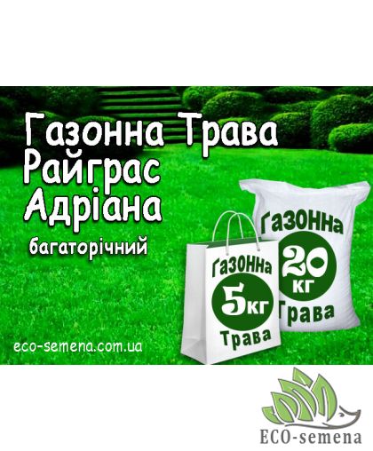 Семена Газонная трава Райграс Адриана Украина 1 кг Семена Газонная трава Райграс Адриана Украина 1 кг