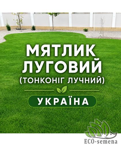 Газонная трава Мятлик луговой (Украина) 1 кг Газонная трава Мятлик луговой (Украина) 1 кг
