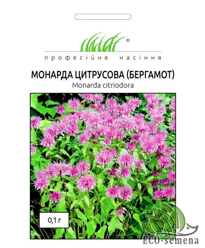 Монарда цитрусовая (Бергамот) Hem Zaden/Нидерланды 0,1 г