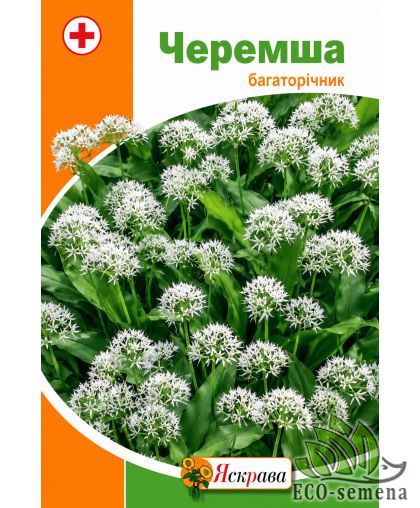 Черемша (медвежий лук) Яскрава 0,2 г Черемша (медвежий лук) Яскрава 0,2 г
