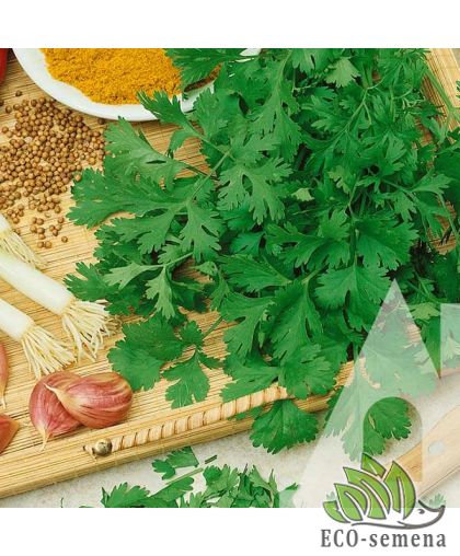 Кориандр (Кинза) Американсий Suba Seeds/Италия 10 г Кориандр (Кинза) Американсий Suba Seeds/Италия 10 г