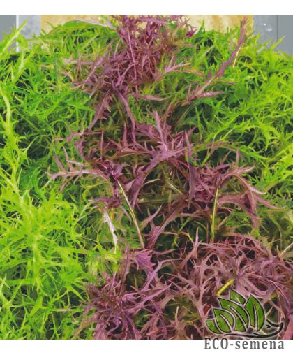 Мизуна салатная смесь 0,5 г Мизуна салатная смесь 0,5 г