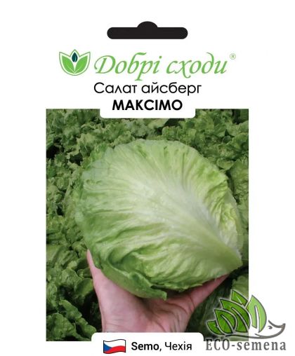 Салат Максимо (айсберг) Semo/Чехия 30 шт