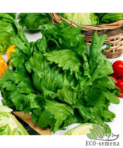 Салат айсберг Ледяная королева Suba Seeds/Италия 5 г