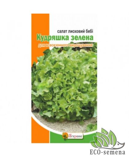 Семена Салат бэби Кудряшка зеленый Яскрава 1 г