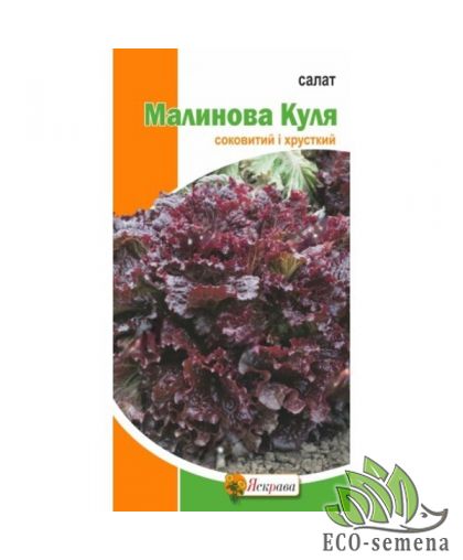 Семена Салат Малиновый шар