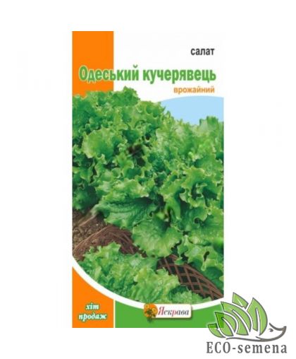 Семена Салат Одесский кучерявец Яскрава 1 г
