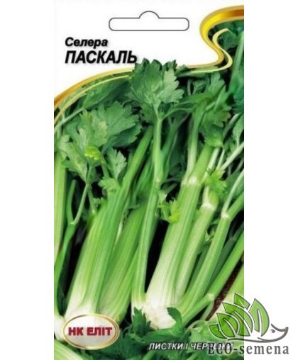 Сельдерей черешковый Паскаль НК Элит 0,5 г