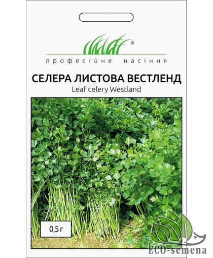 Сельдерей листовой Вестленд Hem Zaden, Нідерланди 0.5 г