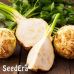 Сельдерей корневой Целитель SeedEra 0,2 г Сельдерей корневой Целитель SeedEra 0,2 г