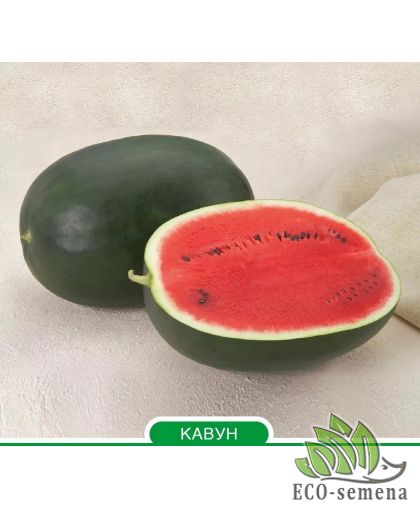 Арбуз Лахат F1 Hazera/Нидерланды 5 шт Арбуз Лахат F1 Hazera/Нидерланды 5 шт