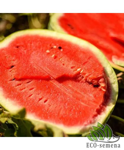 Арбуз Лидия F1 Nong Woo Bio/Южная Корея 10 шт (zip-paket) Арбуз Лидия F1 Nong Woo Bio/Южная Корея 10 шт (zip-paket)