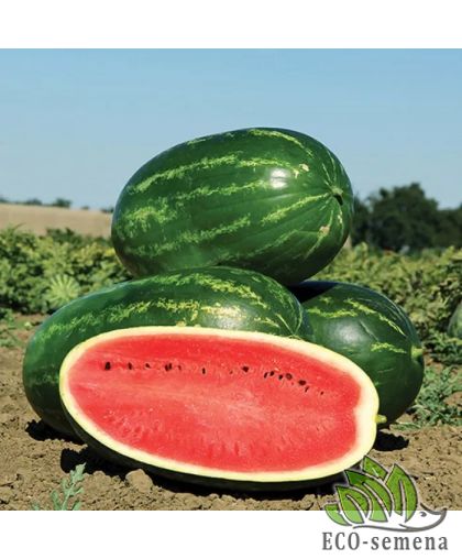 Арбуз Мелина F1 Clause/Франция 10 шт (zip-paket) Арбуз Мелина F1 Clause/Франция 10 шт (zip-paket)