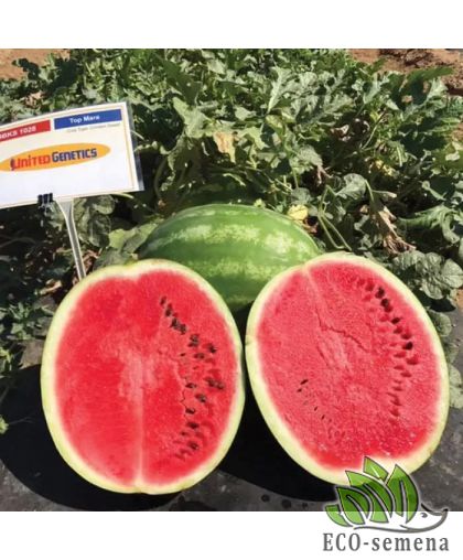 Арбуз Топ Мара F1 (12-16 кг) United Genetics/Италия 10 шт (zip-пакет)