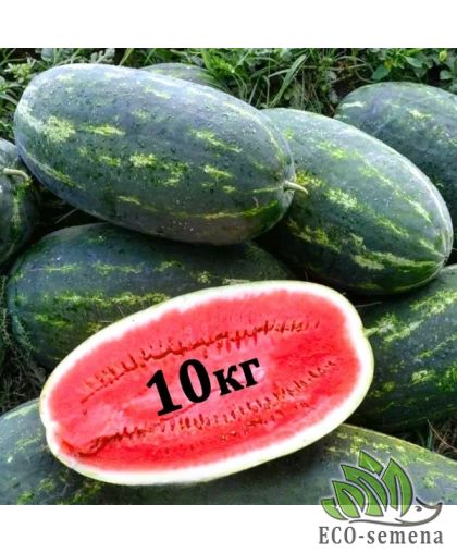 Арбуз Юмми F1 Lark Seeds/США 10 шт (zip-paket) Арбуз Юмми F1 Lark Seeds/США 10 шт (zip-paket)