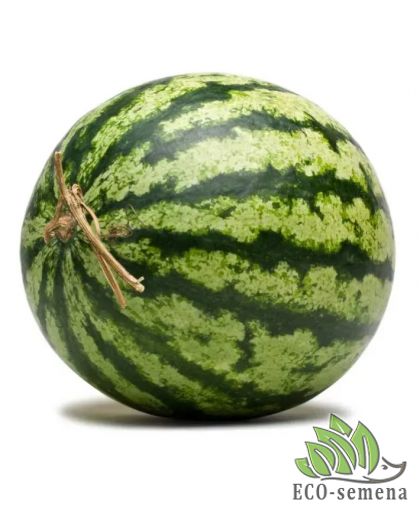 Арбуз Виктория F1 (5-8 кг) Nunhems/Нидерланды 10 шт