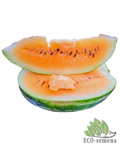 Арбуз Оранж Лакшери F1 Spark Seeds/США 5 шт (zip-paket) Арбуз Оранж Лакшери F1 Spark Seeds/США 5 шт (zip-paket)