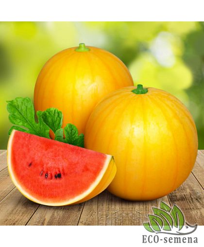 Арбуз Медовый шар F1 Италия 5 сем Арбуз Медовый шар F1 Италия 5 сем