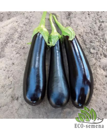 Баклажан Дестан F1 Enza Zaden/Нидерланды 10 шт Баклажан Дестан F1 Enza Zaden/Нидерланды 10 шт