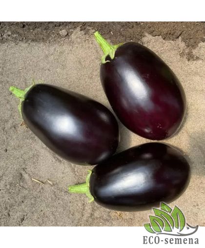 Баклажан Рафаэла F1 Clause/Франция 10 шт Баклажан Рафаэла F1 Clause/Франция 10 шт