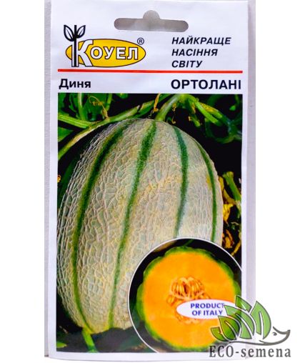 Дыня Ортолани Hortus/Италия 20 шт