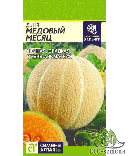 Дыня Медовый месяц 10 шт