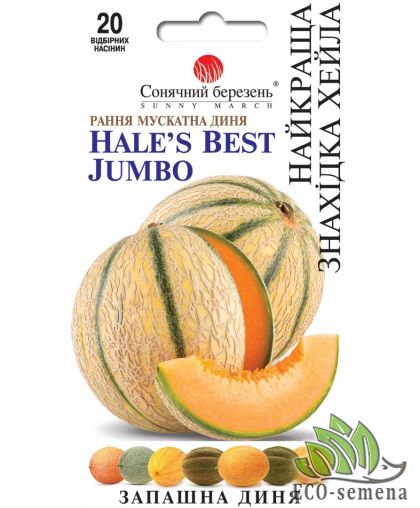Дыня Лучшее открытие Хейла 20 шт Дыня Лучшее открытие Хейла 20 шт