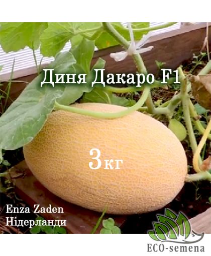 Дыня Дакаро Enza Zaden Нідерланди 10 шт