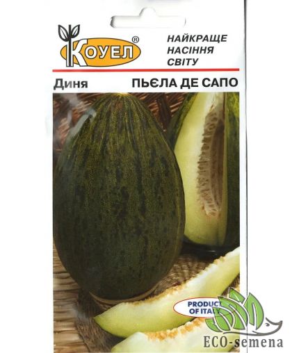 Дыня Пьела де Сапо (поздняя, новогодняя) Италия 10 сем 