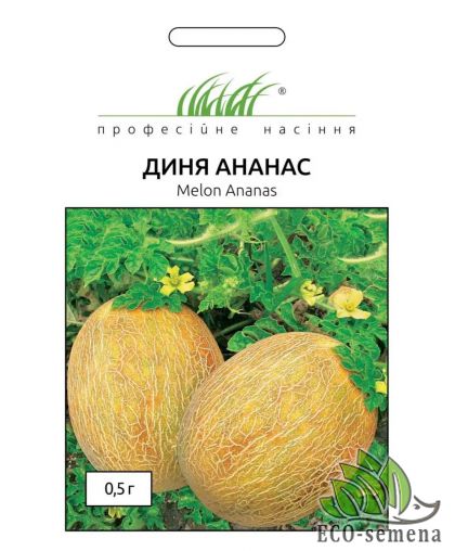 Дыня Ананас Италия 10 шт 