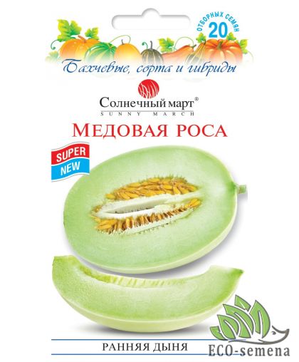 Дыня Медовая роса (зеленая дыня) 20 шт