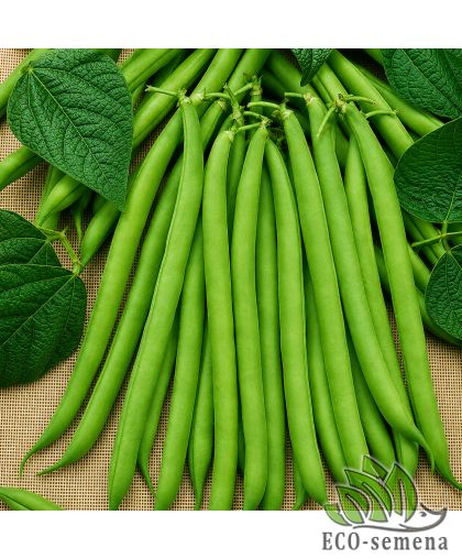 Фасоль спаржевая Серенгети Syngenta/Нидерланды 10 г