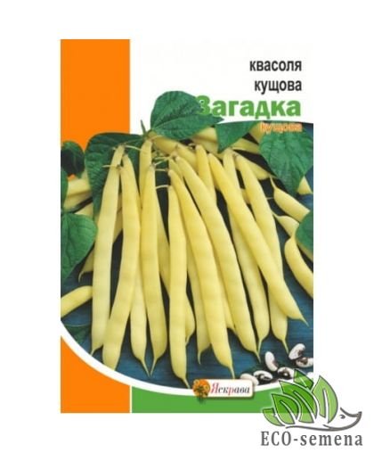 Фасоль зерновая Загадка (кустовая) Яскрава 20 г