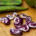 Фасоль зерновая Рождественская Лимская кустовая 20 г
