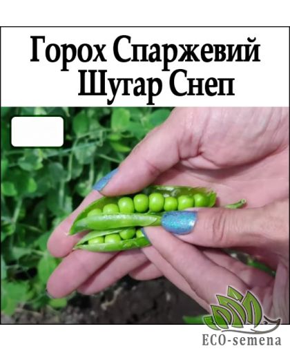 Горох Шугар Снеп (Sugar Snep) спаржевый Чехия 100 г